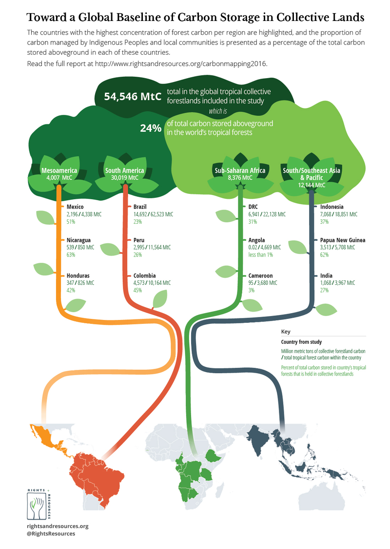 toward-a-global-baseline-of-carbon-storage-in-collective-lands-rri